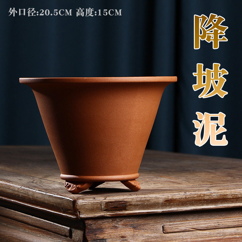 紫砂花盆大号盆景绿植盆栽园艺培育摆设展览松柏文竹多肉斗笠兰盆