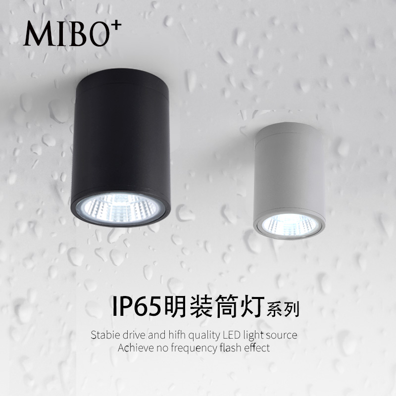 室外防水明装筒灯射灯吸顶式阳台户外门头雨棚浴室走廊防潮湿IP65