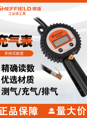 钢盾S114013手持式枪式数显充气表高精度汽车轮胎测压机汽修维修