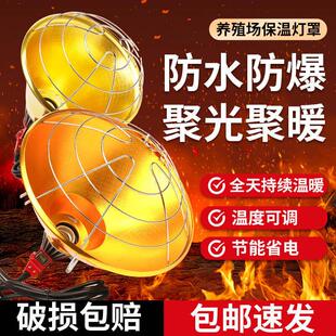 保温灯罩养殖场专用小猪仔猪取暖保温灯罩育雏取暖灯泡加热灯罩