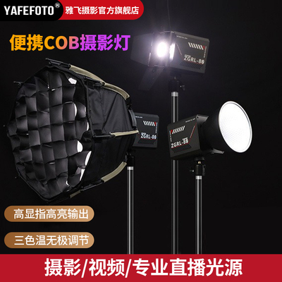 便携户外人像80W移动式补光灯