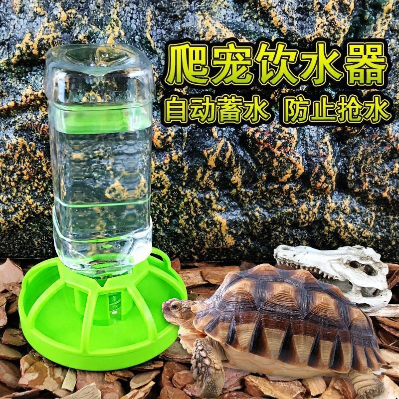 乌龟水盆食盆自动饮水器喝水盘半