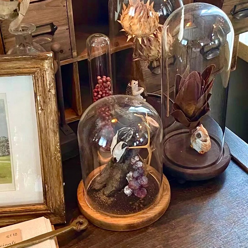 样板间书房摆件j植物主题花艺师永生花玻璃罩展示盒植物标本装饰