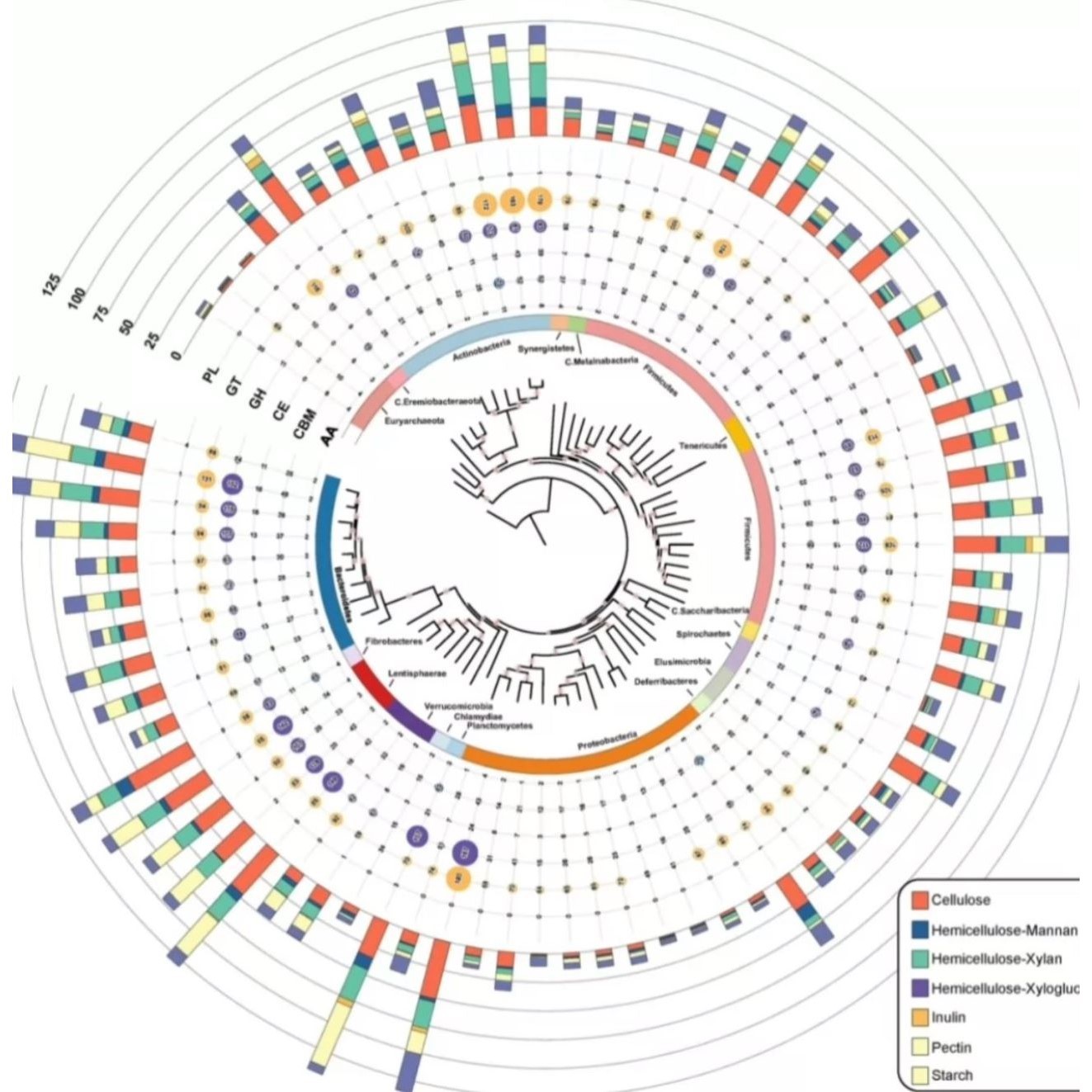 RNA-seq全转录组数据分析预后模型生信分析构建