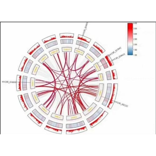 生信分析单细胞测序转录组数据分析tcga geo2-5分SCI生信代做服务