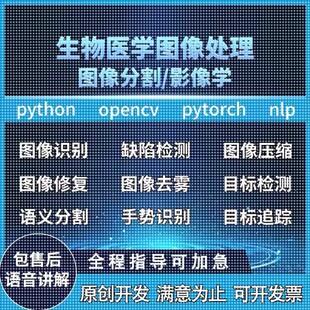 Python代編程醫學圖像分割視覺深度學習語義分割目標檢測圖像分類