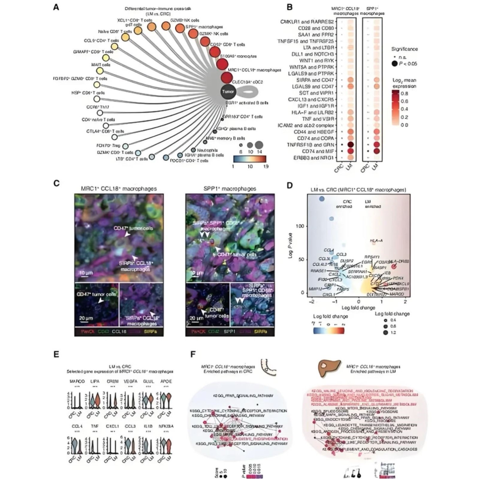 生信分析指导/单细胞代谢转录组/数据挖掘/微生物基因测序/R语言