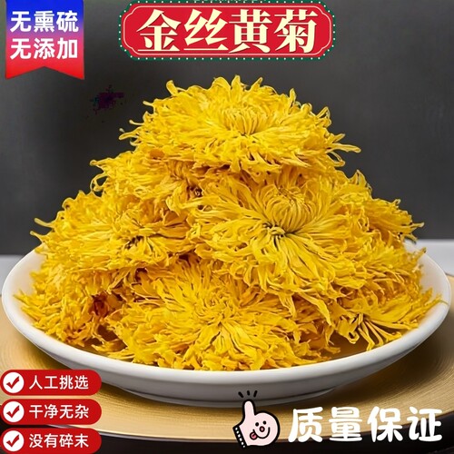 金丝黄菊茶养生清火菊花泡水泡茶