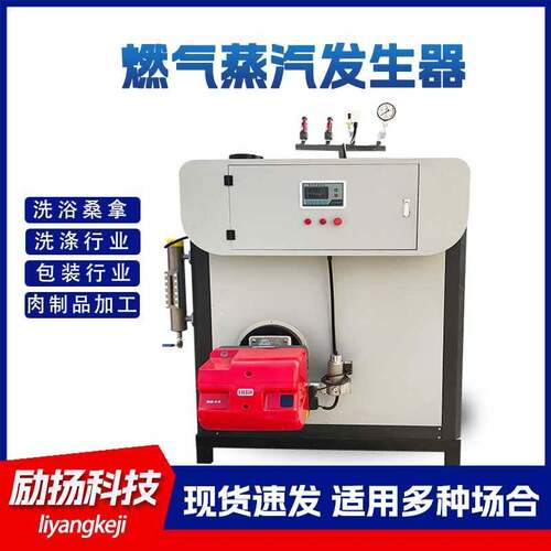 洗涤生物质蒸汽机工业蒸汽锅炉 1吨2吨服装厂用生物质蒸汽发生器