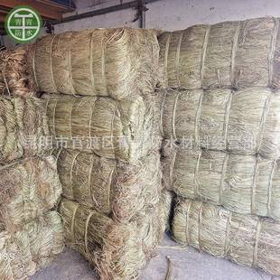 厂家供应青麻丝公路伸缩缝填缝沥青麻丝管件防水密封用细麻丝剑麻