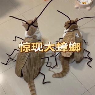 猫咪蟑螂衣服手工diy扭扭棒材料包螂的诱惑装扮cos服搞怪宠物衣服