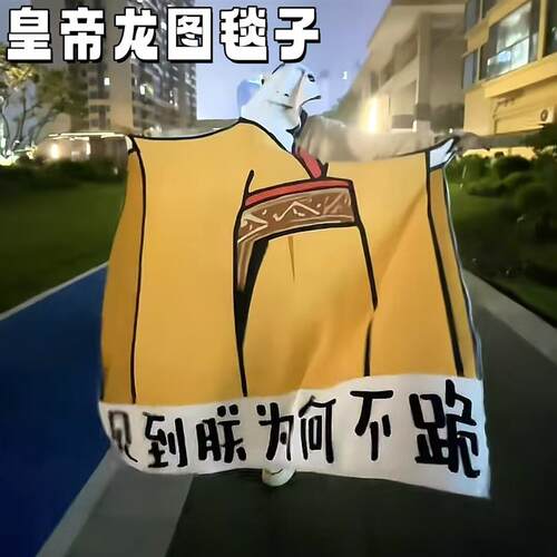 皇帝龙图毯子见到朕为何不跪毯整蛊龙图皇帝午休毯抽象神经毛绒毯