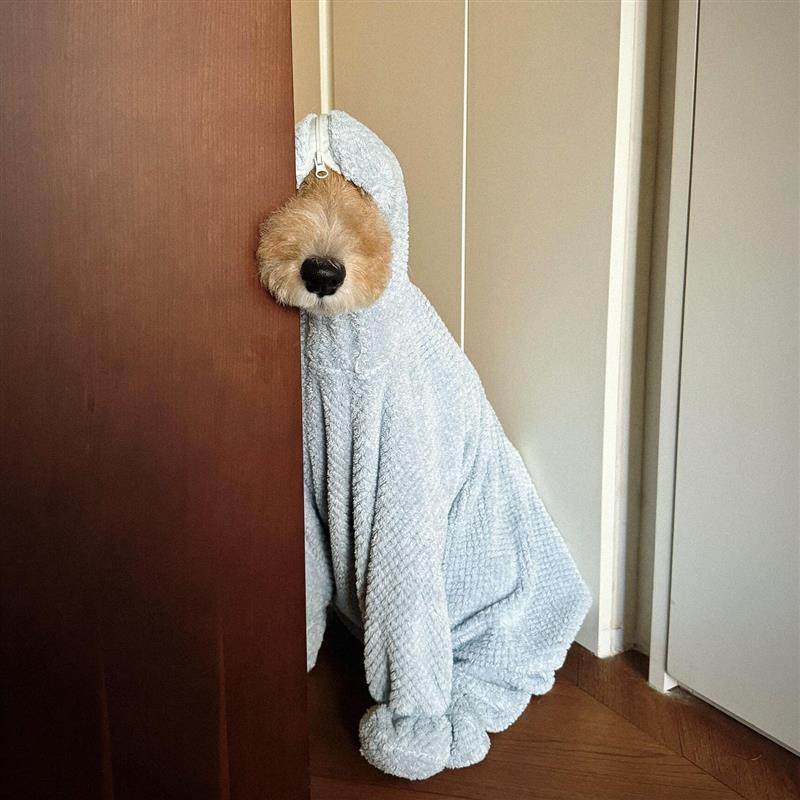 狗狗浴巾吸水速干干宠物洗澡毛巾泰迪比熊柯基柴犬加厚浴袍可爱衣