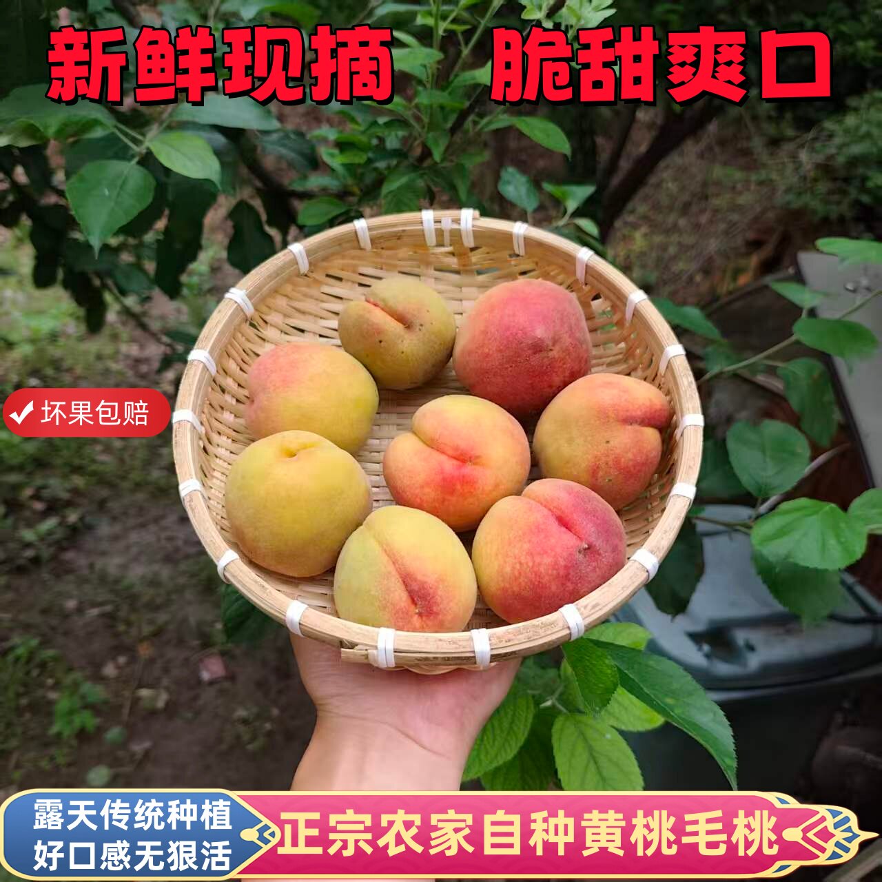 安徽农家露天新鲜黄桃小毛桃硬脆甜爽口无黑科无狠活孕妇儿童水果