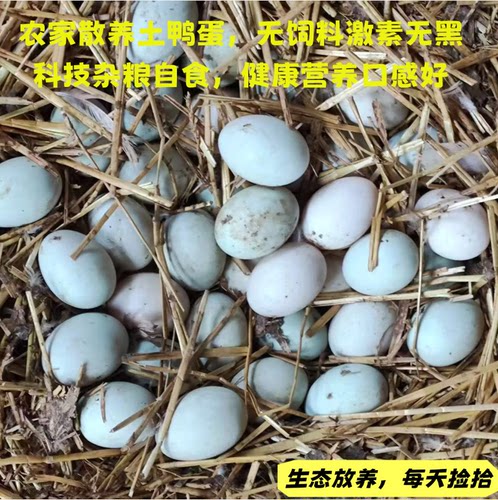 农家土鸭蛋小鸭蛋乡间散养无饲料激素吃虫子杂草螺丝健康营养美味