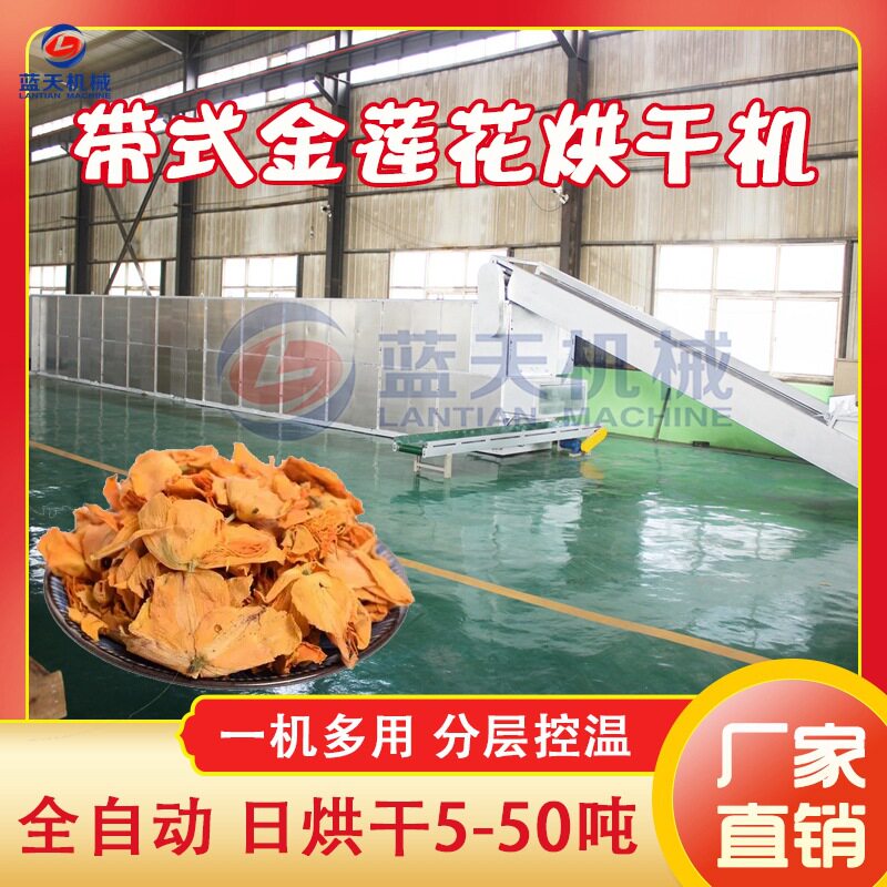 金莲花烘干机 大型网带旱地莲金梅草旱荷干燥机 金莲花茶烘干设备