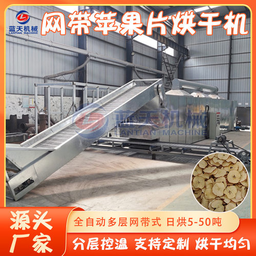 网带苹果干烘干机 全自动苹果水果切片烘干生产线 苹果片烘干设备
