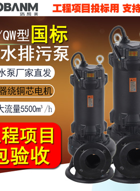 【项目投标】国标WQ排污泵0.75-550kw21地下室工程污水泵潜水泵