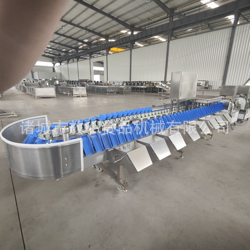 蜜薯红薯土豆称重分选机 红薯称重分选机 不锈钢重量分选机