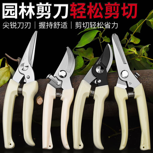 修枝剪园艺盆栽果树枝剪子家用花枝剪刀花店修剪花卉枝条剪果神器