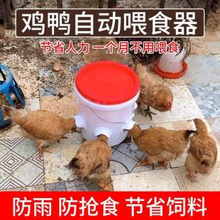 喂 鸡食槽自动喂 食器家禽下料器二合一防撒鸭鹅鸽饲料桶喂 鸡食