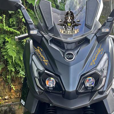 Sport字母拉花适用三阳Cruisym巡弋250改装饰贴纸挡风玻璃贴轮毂