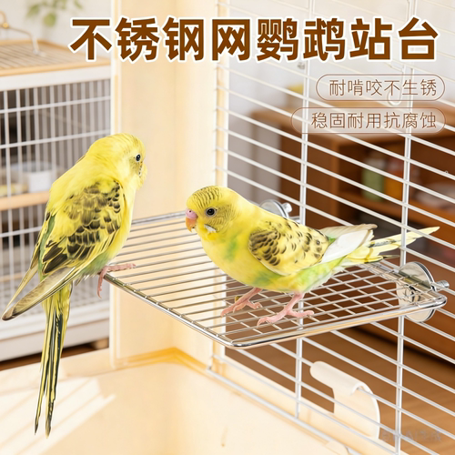 鹦鹉不锈钢休息跳台网架