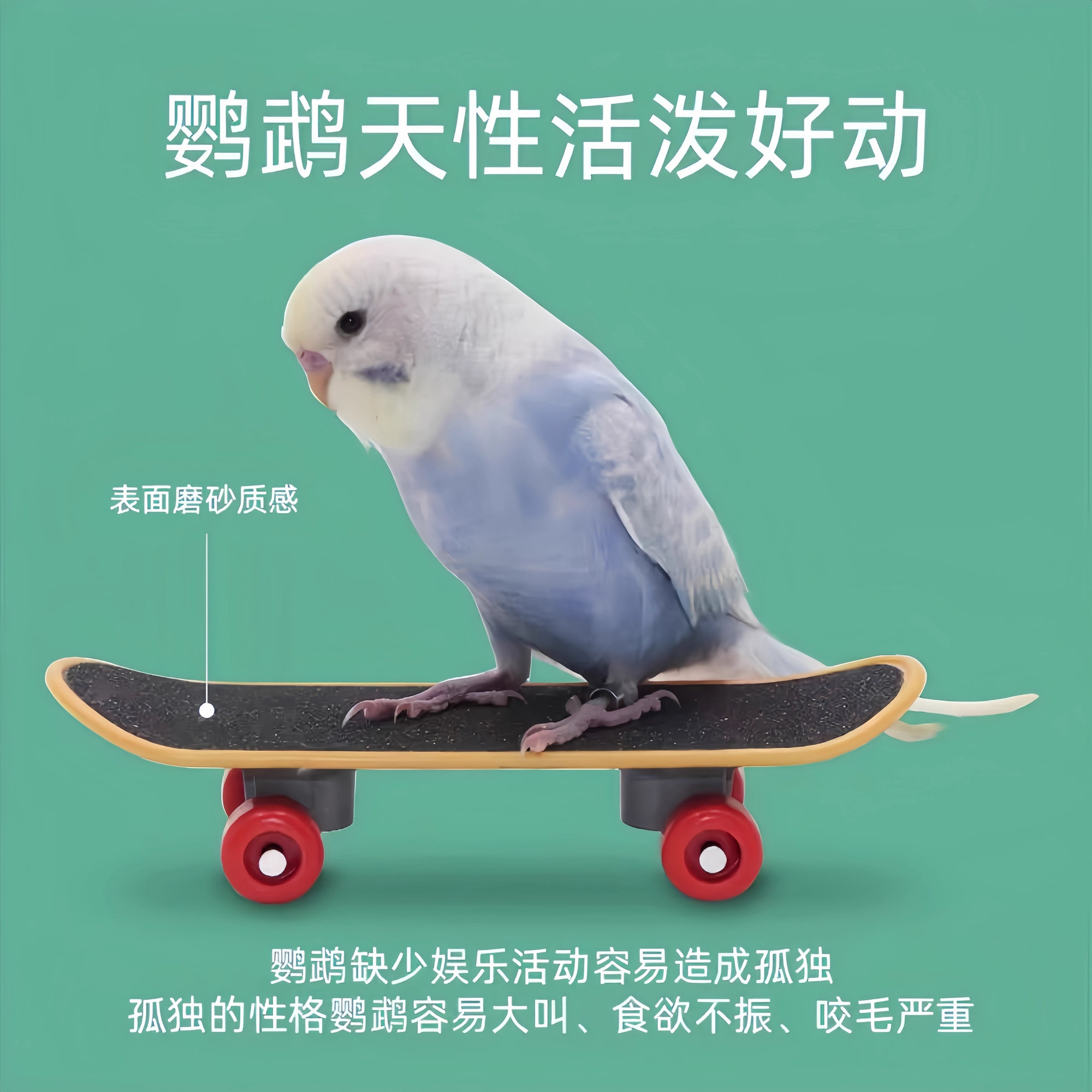鹦鹉玩具鸟玩具滑板车解闷训练道具益智陪伴玄凤牡丹专用用品大全