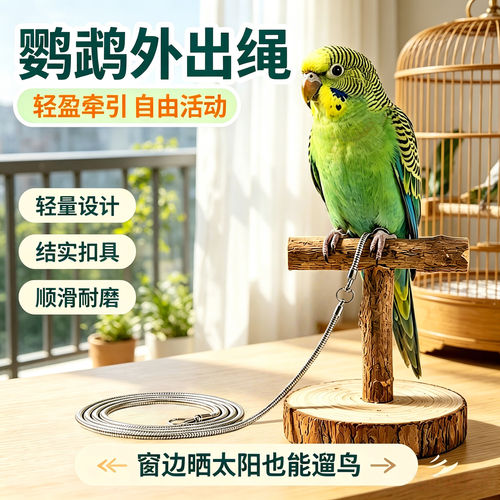 宠帮仕鹦鹉不锈钢防咬不伤脚链