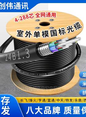 国标GYTS/TA单模铠装光缆4芯6芯12芯24芯48芯96芯144芯288芯光纤