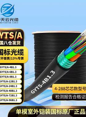 长飞烽火中天国标铠装室外单模光缆4芯6芯8芯12芯24芯48芯GYTS/A