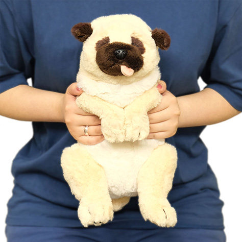 日本sunlemon仿真小狗玩偶 哈巴狗八哥犬瞌睡狗毛绒玩具节日礼物