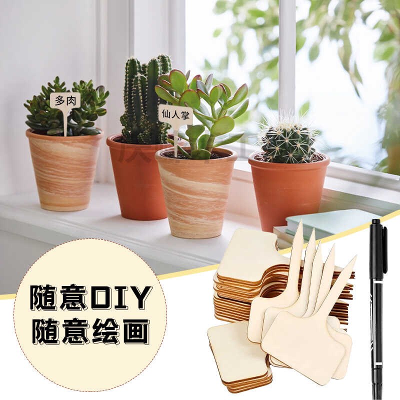 园艺多标签木材质优质标识牌多肉植物蛋糕标签牌记号牌卉T型