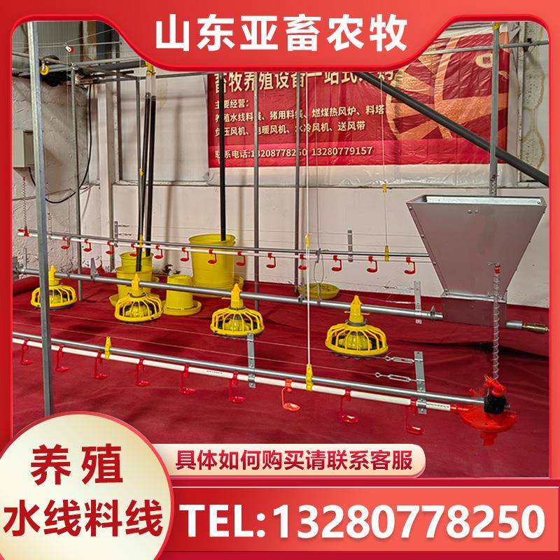 养鸡场自动喂料机养殖场自动上料机鸡用主料线圆方管水线绞龙料线