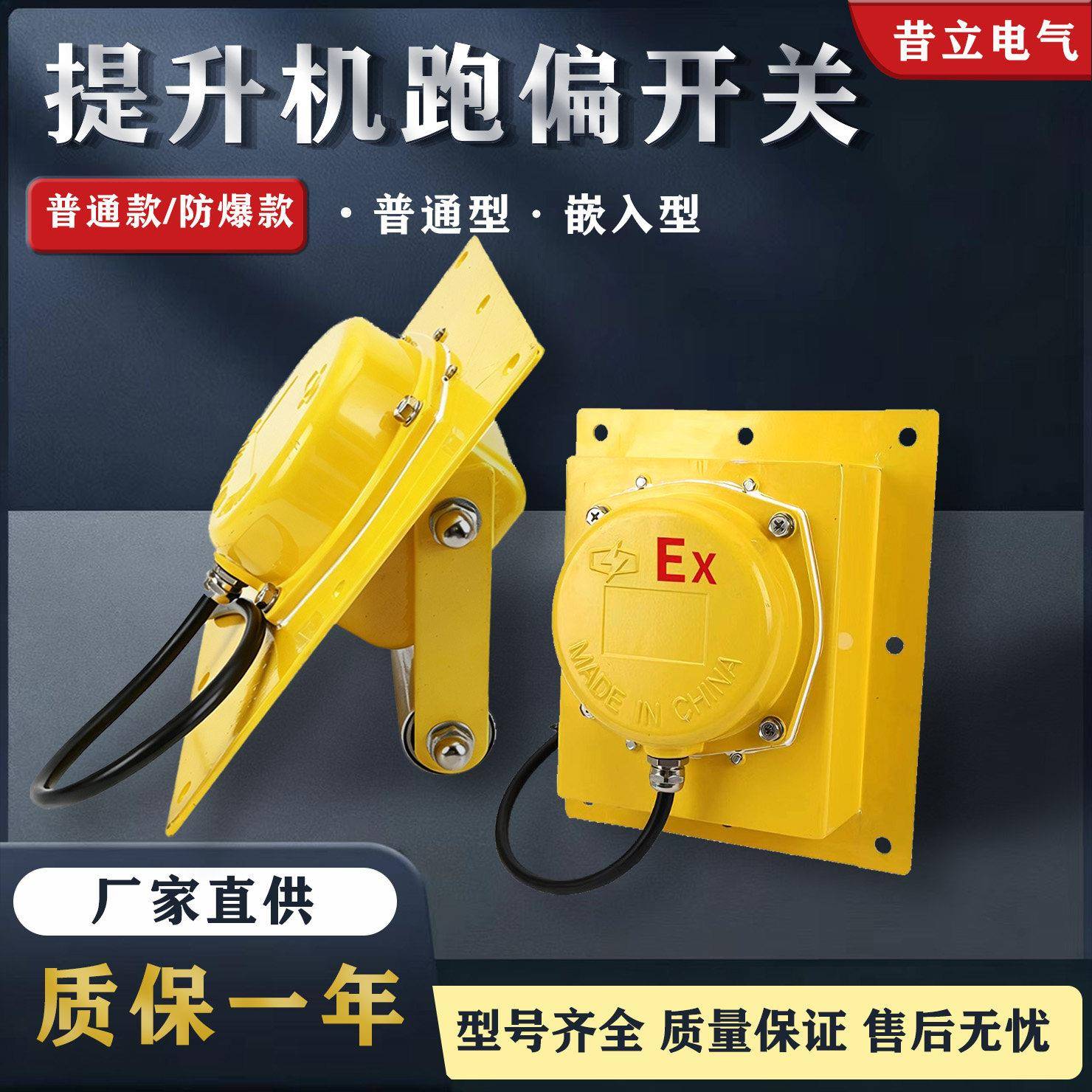 提升机跑偏开关TDP-1嵌入式防爆WTDP-I胶带提升机防偏装置BXTDP-1