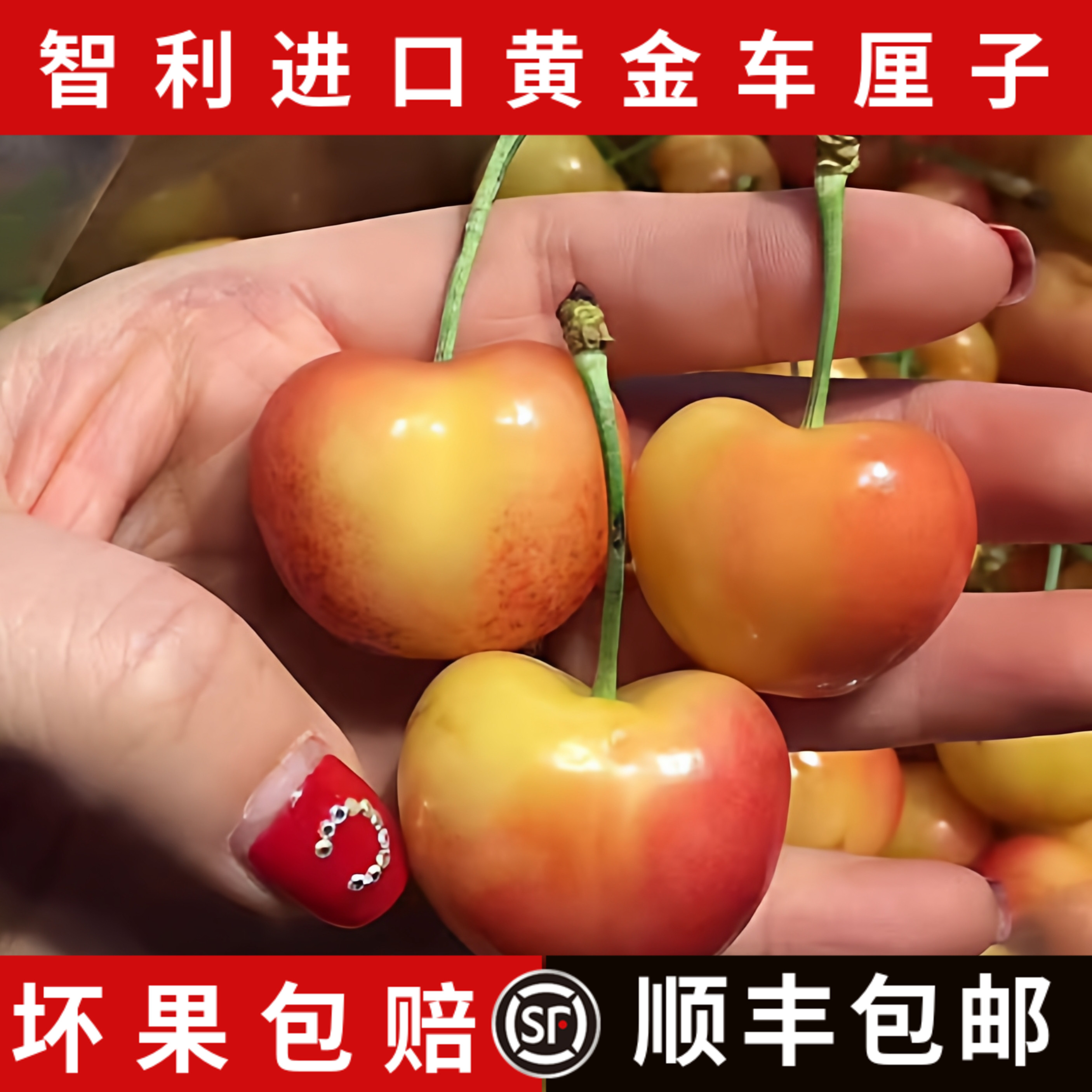 4.4斤智利雷尼尔Rainier黄金车厘子新鲜水果黄色大樱桃礼盒装孕妇