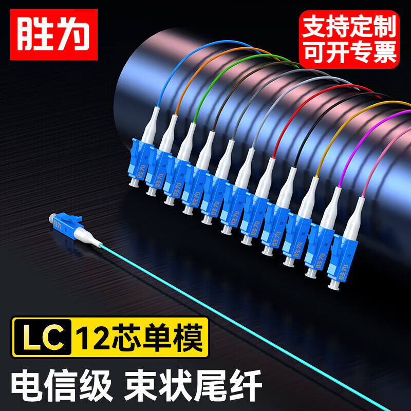 胜为电信级光纤跳线尾纤LC1.2米12芯单模ST束状尾纤ODF单元体FC光纤机架网线配线12芯FLS-1210