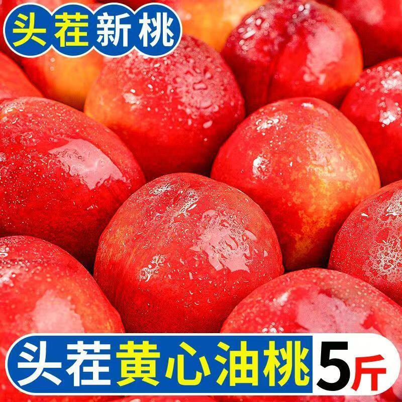 【当日采摘】油桃新鲜脆甜黄心高山脆桃子批发价应季水果