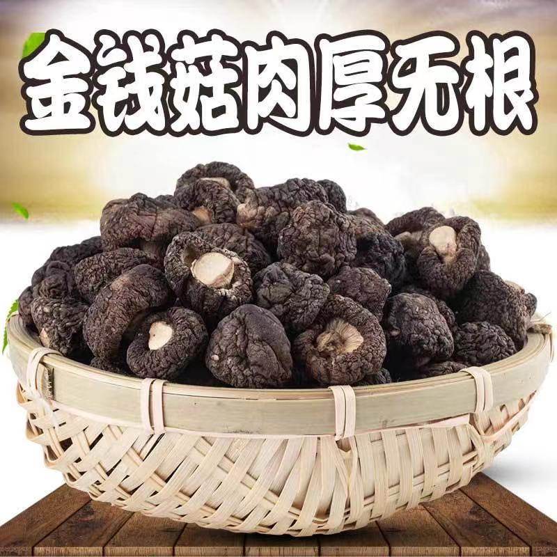 井冈小金钱菇250g井冈山迷你小香菇农家干货新货蘑菇冬菇袖珍菇