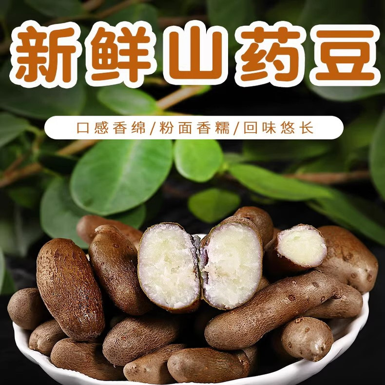山药豆2025新货特大手选铁棍山药豆小白嘴山药豆冰糖葫芦用豆