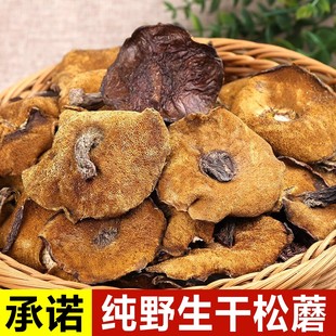 东北野生松蘑干货精选大片松蛾粘团子新鲜特级松蘑菇松树蘑松菇干