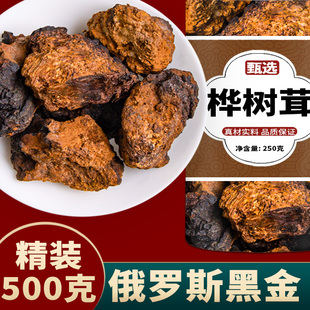 桦树茸俄罗斯进口旗舰店野生正品白桦树茸长白山华树茸颗粒的功效