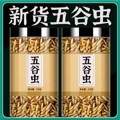 干蛆虫中药材正品五谷虫食用蝇蛆虫干蛆干水仙子养殖小鸟饲料干货