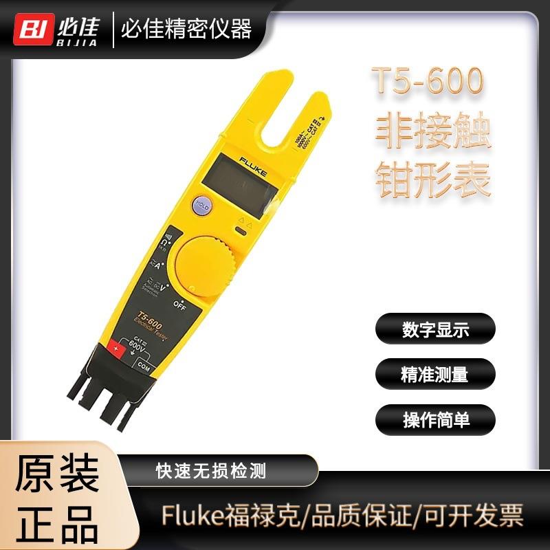 电压检测仪T5-600/T5-1000/CHINA电流钳形表T6-600/CN