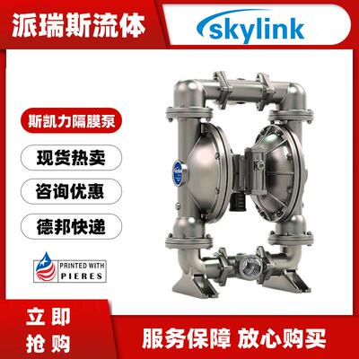 气动隔膜泵LS80CS-AA-NE-PP-NE-00铸铁化工3寸污水泵DN80