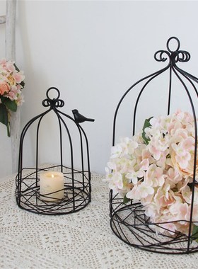 ins铁艺套二黑色鸟笼可挂小鸟铁笼烤漆花盆婚庆装饰可插花多肉花