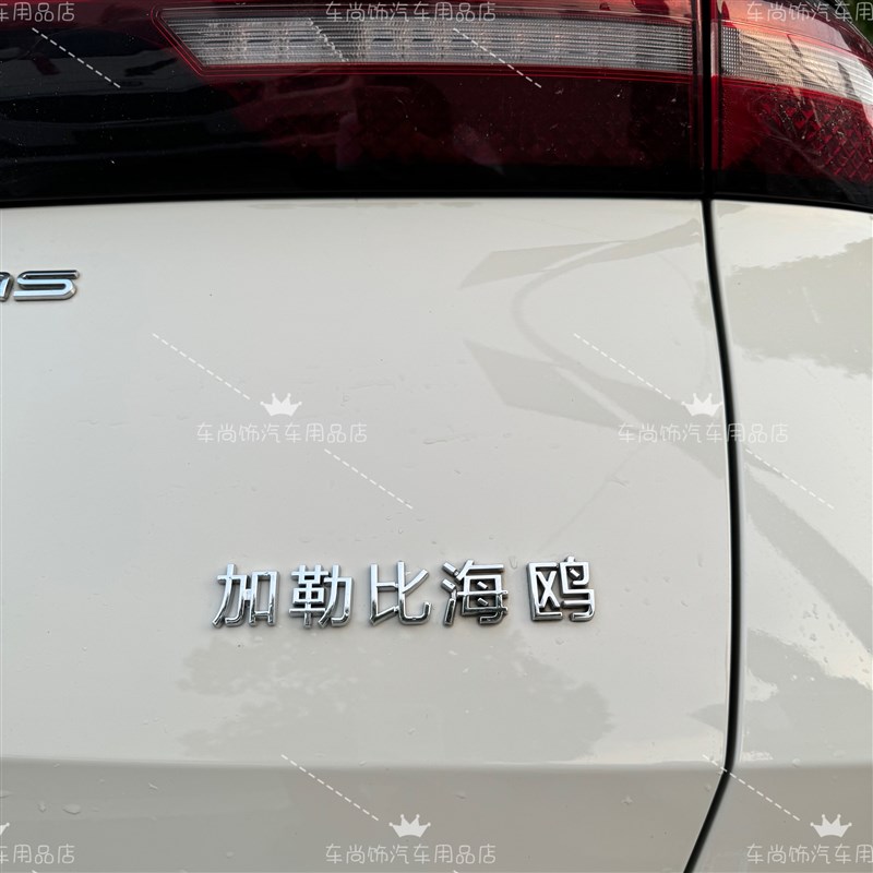 比亚迪改装加勒比海鸥法打白娘子你k吗创意装饰贴汽车尾标贴车标