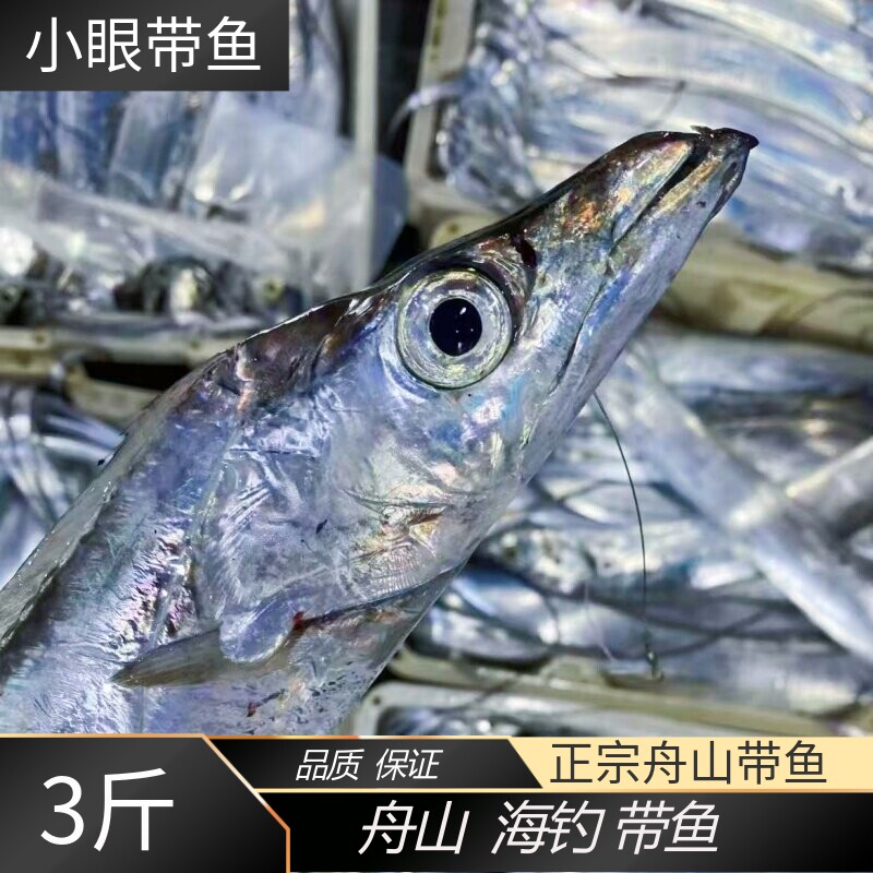 正宗舟山海钓带鱼新鲜特大小眼