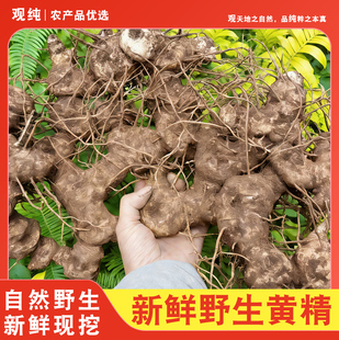 四川野生黄精新鲜现挖中药材黄精片晒干黄精块农家自晒无硫泡茶