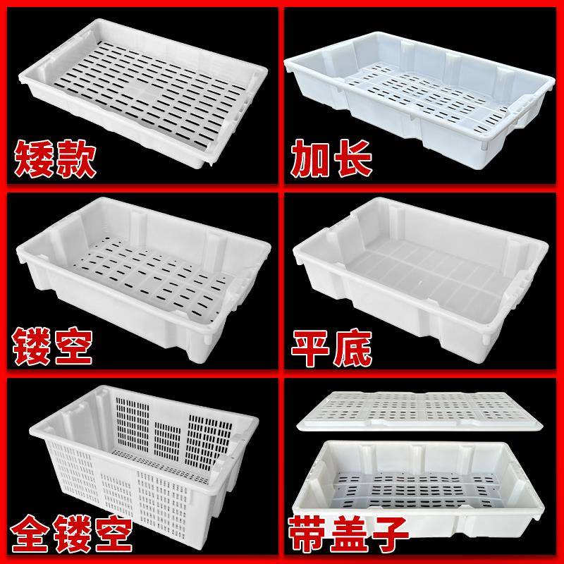 塑料水产鱼筐海鲜运输搬运周转箱加厚错位滤水网底镂空筐白色框子